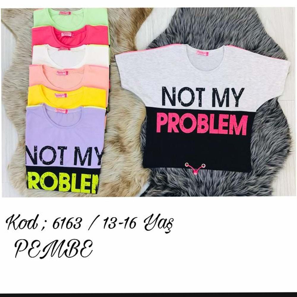 Pembe 5163 Kız Çocuk Not My Problem Baskılı Tişört 9-12 Yaş