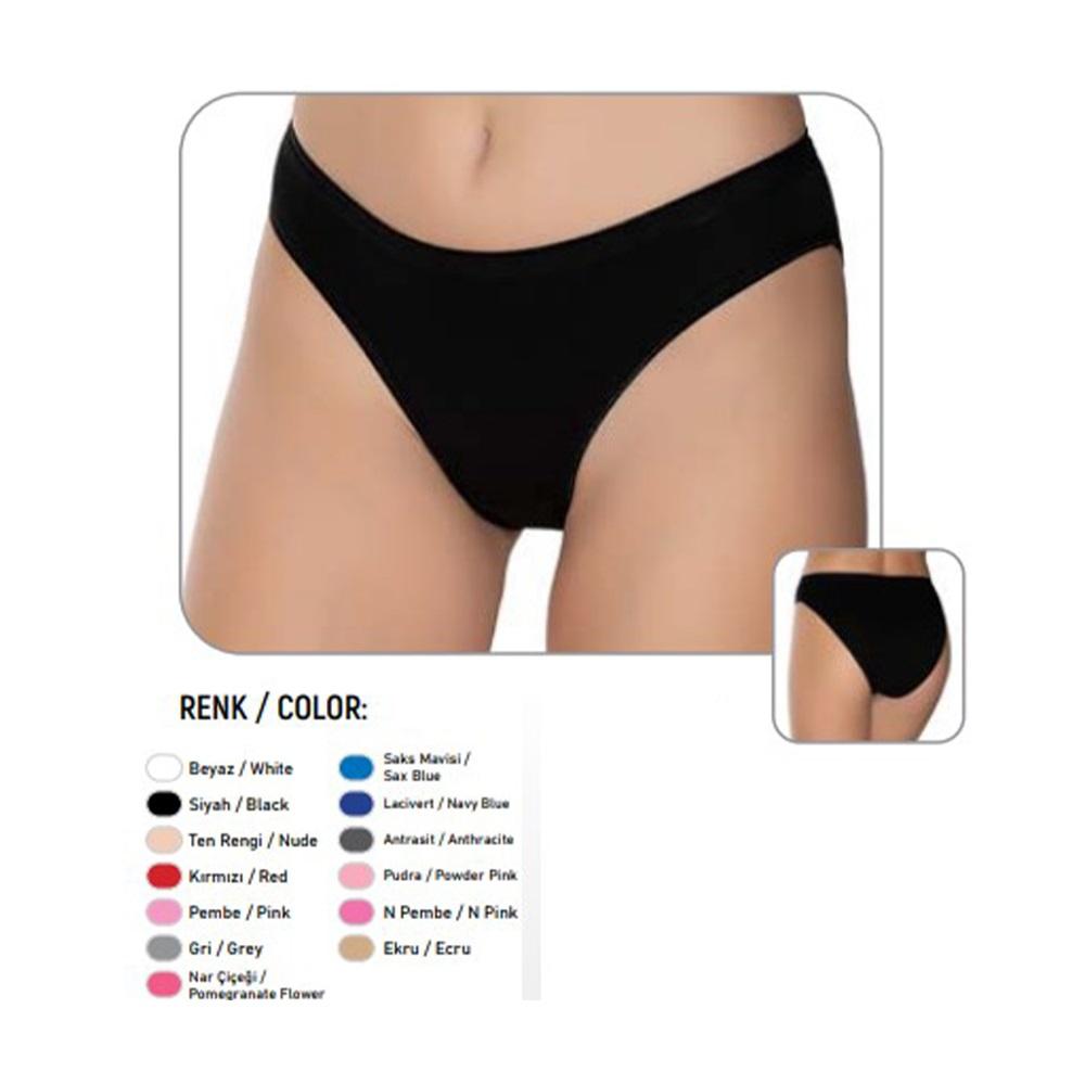 Gümüş 5001 Bayan Düz Bikini (651)