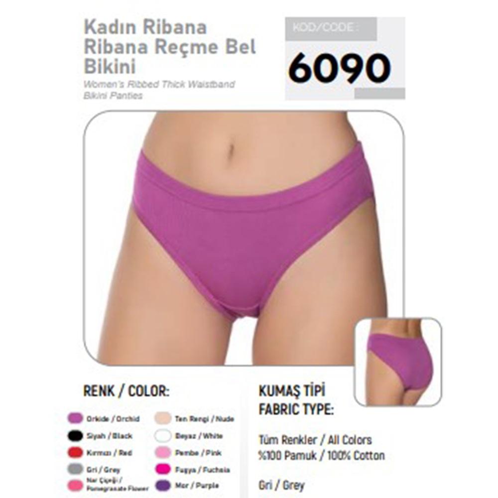 Gümüş 5001 Bayan Düz Bikini (6090)