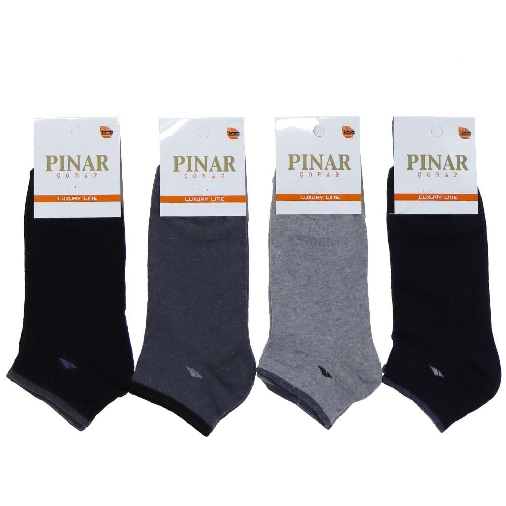 Pınar Erkek Likralı Patik Çorap