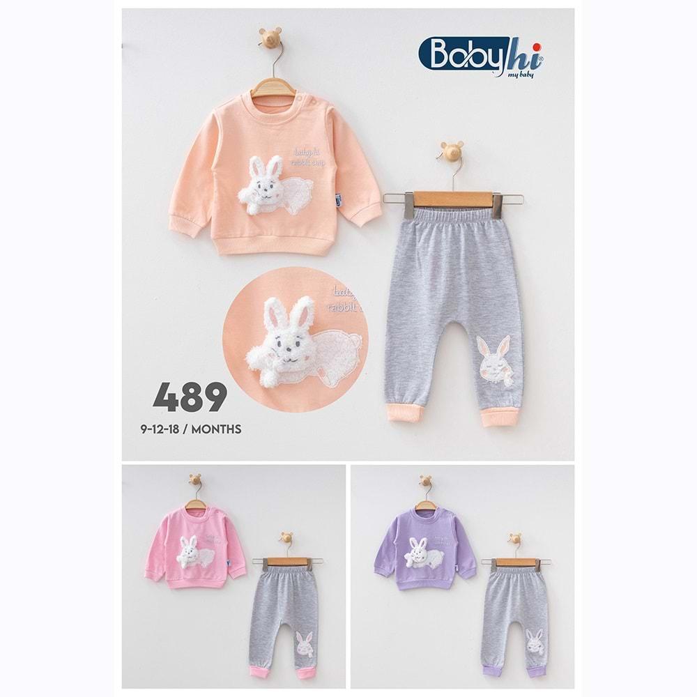 Baby Hi 489 Kız Bebe Penye Tavşan Süzine Nakışlı Takım 6-9-12-18 Ay