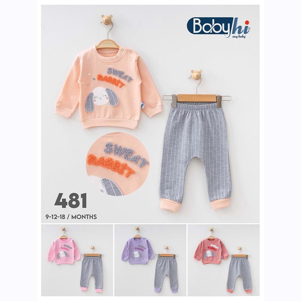 Baby Hi 481 Kız Bebe Penye Sallanan Kulaklı Tavşan Nakışlı 2Li Takım 6-9-12-18 Ay