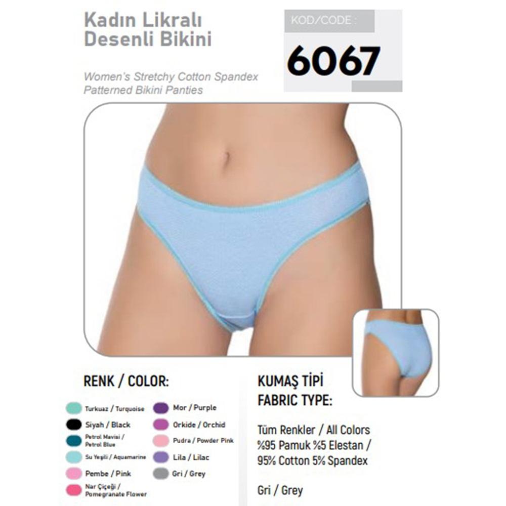 Gümüş 5001 Bayan Desenli Bikini (667)