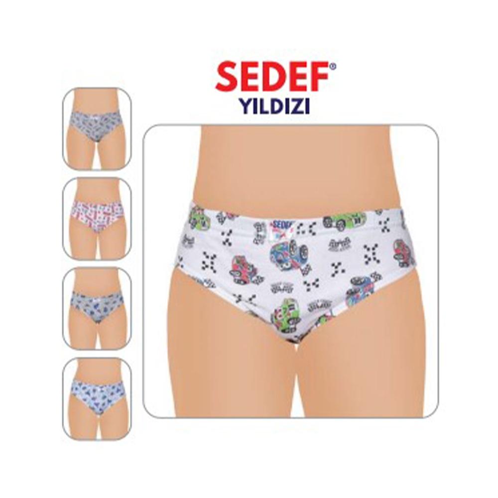 Sedef Yıldızı 1081 Çocuk Desenli Külot