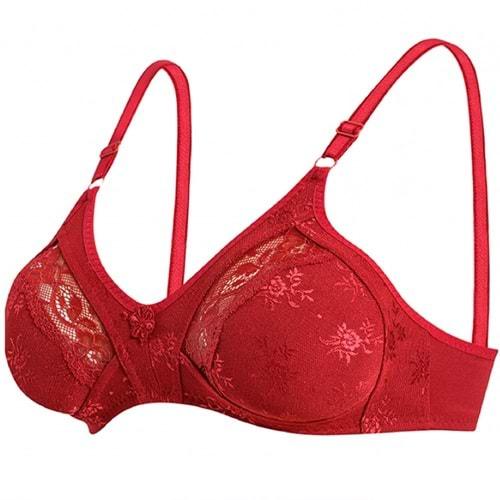 Ebru Bayan Toparlayıcı Lez Ara Dantel 1004-1004B Sütyen 75-110