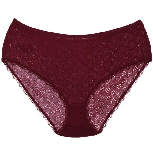 G Ç Collection Bayan Likralı Jakarlı Bato Külot