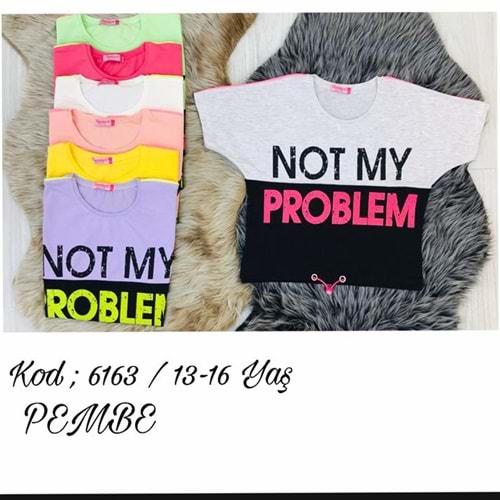 Pembe 5163 Kız Çocuk Not My Problem Baskılı Tişört 9-12 Yaş