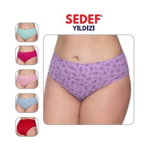 Sedef Yıldız 1023 Bayan Pastel Kom Külot