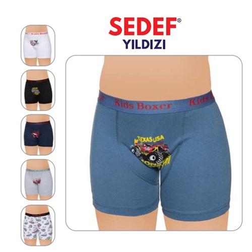 Sedef 1089 Erkek Çocuk Likralı Baskılı Boxer