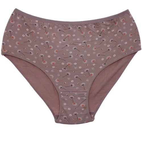 Mody A-70 Desenli Bayan Jumbo Battal Penye Külot Bato Slip