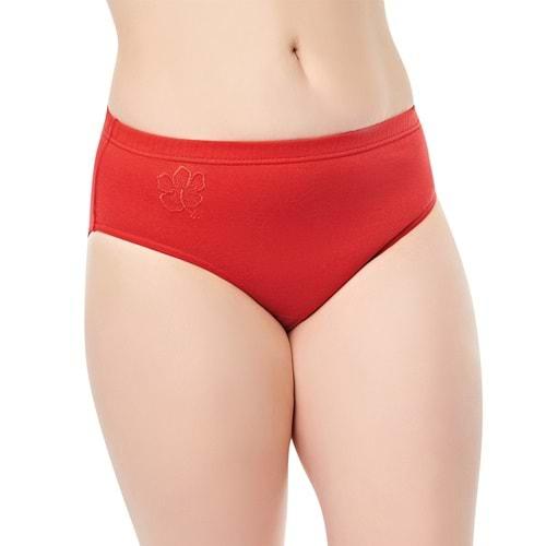 Seher Yıldız 0025 Bayan Düz Kom Külot