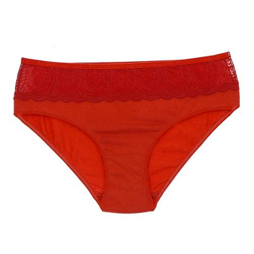 F-K 3431 Bayan Dantelli Big Size Külot XL-2XL-3XL