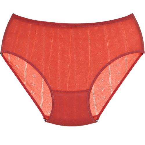 Seramony 234 Bayan Jakarlı Bato Külot Slip