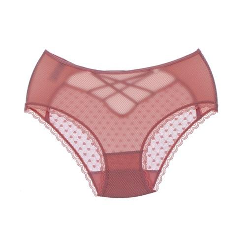 F-K 2832 Bayan Yüksel Bel Arkası Tül Külot S-XL