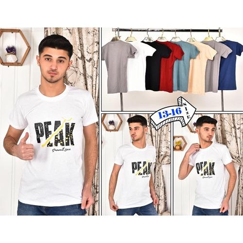 Kardeşler-Erkek Çocuk Peak Baskılı Sweat Tişört 5-8 Yaş