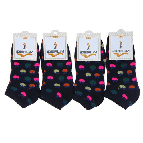 İdealim 2026 Bayan Likralı Mevsimlik Patik Çorap