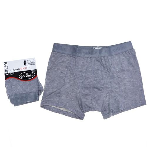 Güryıldız 24513 Erkek Elastan Boxer