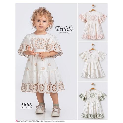 Tivido 2665 Kız Çocuk Brode Güpürlü Elbise 2-5 Yaş