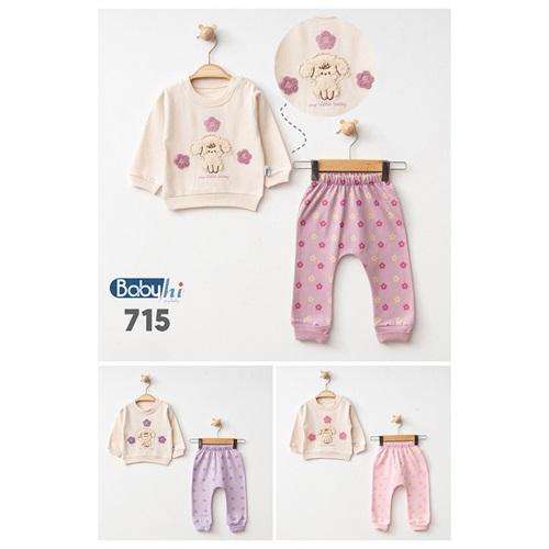 Baby Hi 715 Kız Bebe Süzüne Çiçekli Nakışlı 2Li Takım 6-9-12 Ay