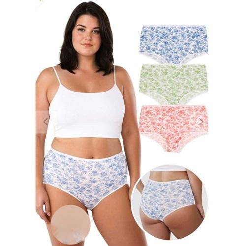 Berrak 11798 Bayan Penye Desenli Yüksek Bel Bato Külot XL-3XL