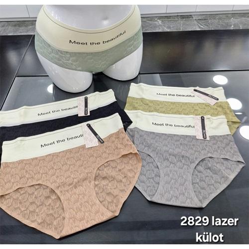 F-K 2829 Bayan Fantazı Denteli Yüksek Bel Külot S-XL