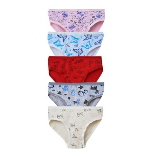 Gelincik 690 Desenli Likralı Penye Kız Çocuk Külot