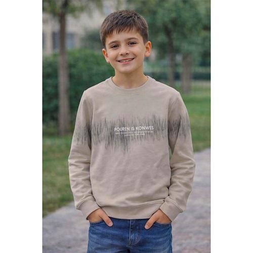 Furkan Kıds 3045 Erkek Çocuk Penye Mevsimlik Pouren İs Konwes Baskılı Sweat 9-12 Yaş
