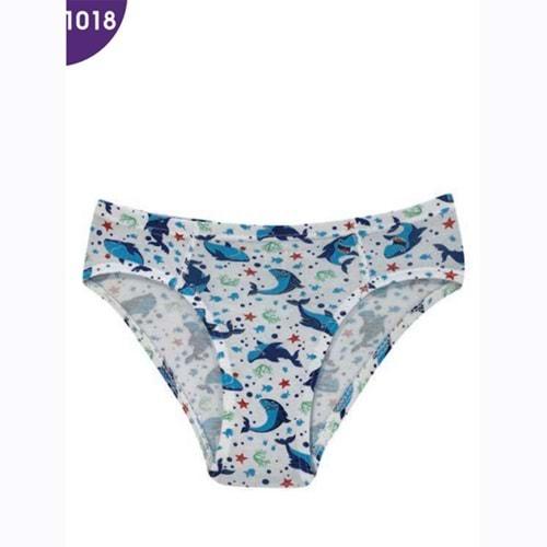 Kota 1018 Erkek Çocuk Baskılı Erkek Slip Külot