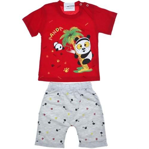 133 Panda Palmiye Baskılı Erkek Takım 6-12-18 Ay
