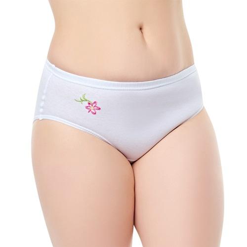 Seher Yıldız 0024 Bayan İşli Kom Külot - Beyaz - 4